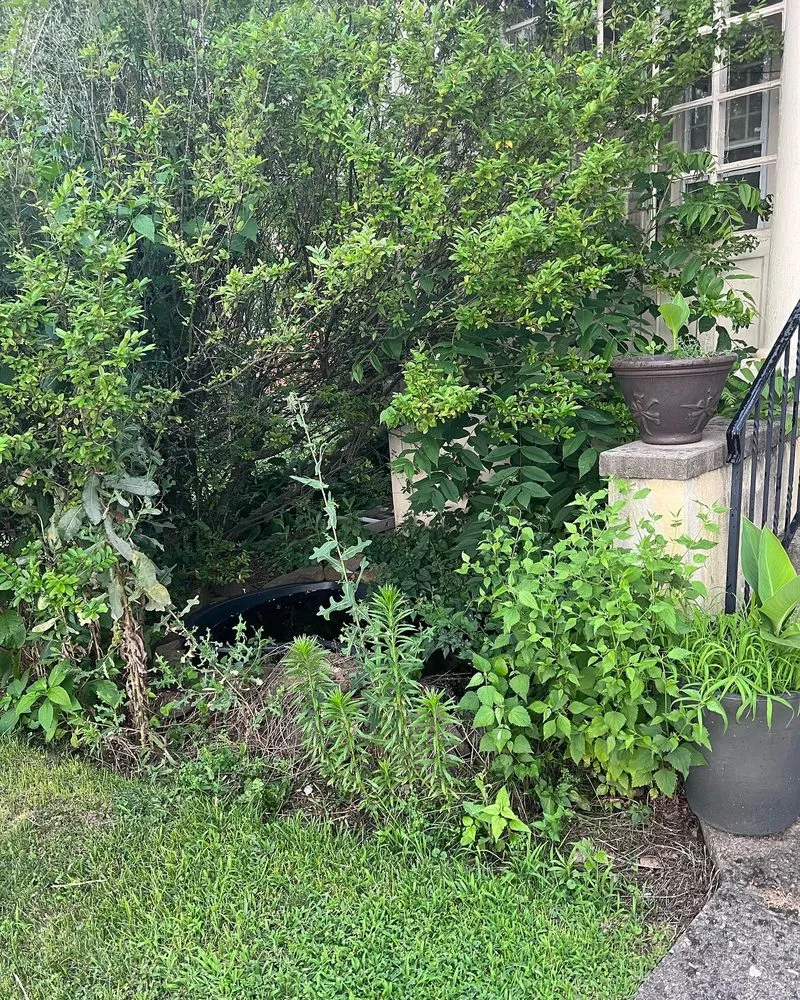 Trusted landscaping services near you in New Hope, PA by Symbiotic Landscaping