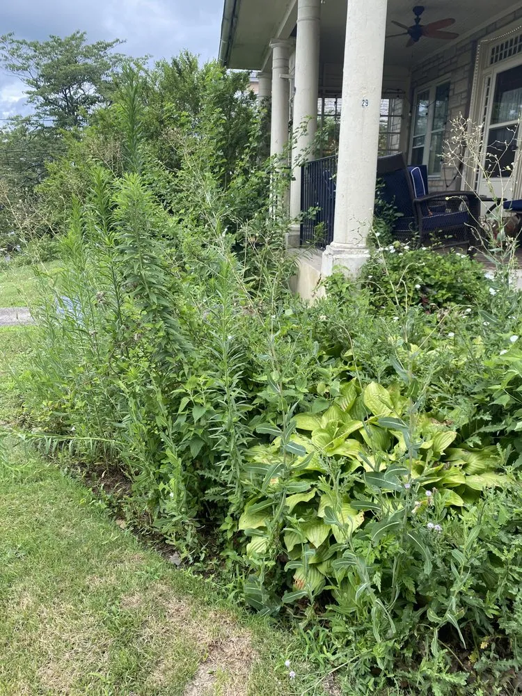 Custom outdoor landscaping experts serving New Hope, PA - Symbiotic Landscaping