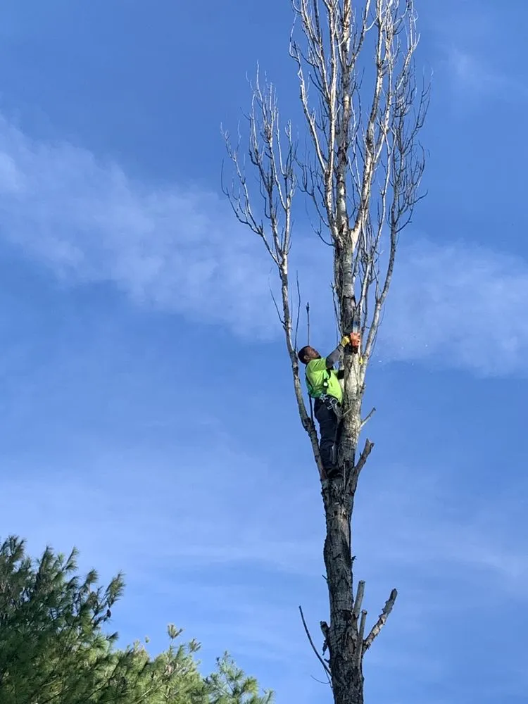 Reliable lawn care service for beautiful yards in Center Moriches, NY by Symbiotic Property And Landscape Management