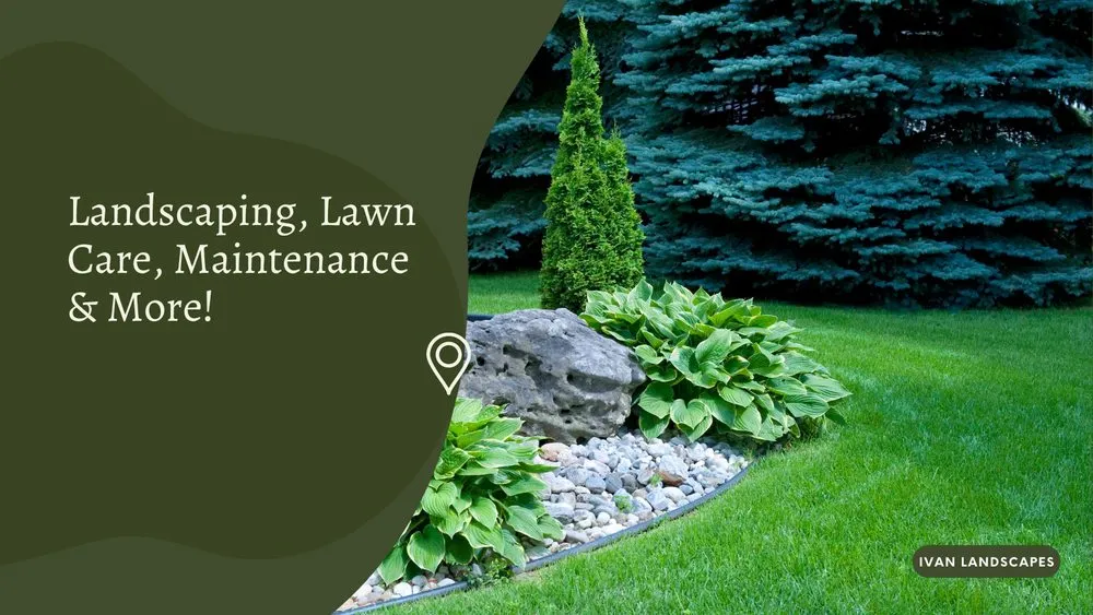 Expert lawn care service experts serving Sonoma, CA - Symmetry Landscapes