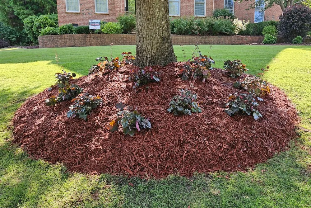 Expert yard maintenance for homes in Louisburg, NC by Symphony Landscape Works