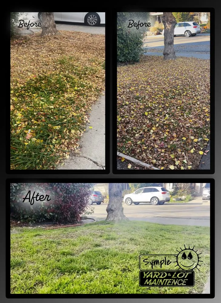 Custom garden landscaping for outdoor upgrades in Davis, CA by Symple Yard and Lot Maintenance