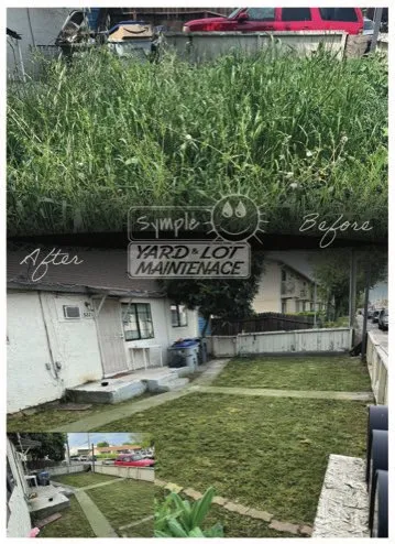 Trusted yard cleanup service experts serving Davis, CA - Symple Yard and Lot Maintenance
