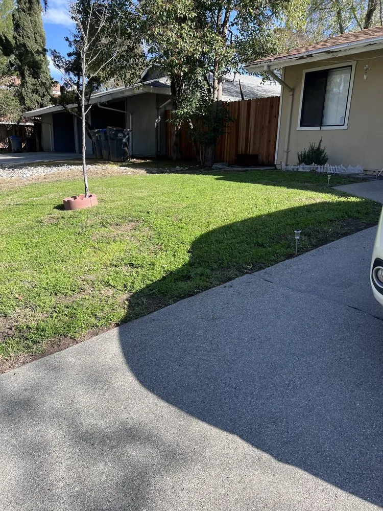 Top-rated outdoor landscaping for year-round maintenance across Davis, CA - Symple Yard and Lot Maintenance
