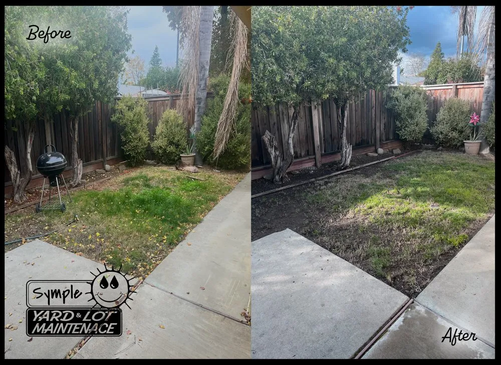 Affordable garden landscaping for homes across Davis, CA - Symple Yard and Lot Maintenance