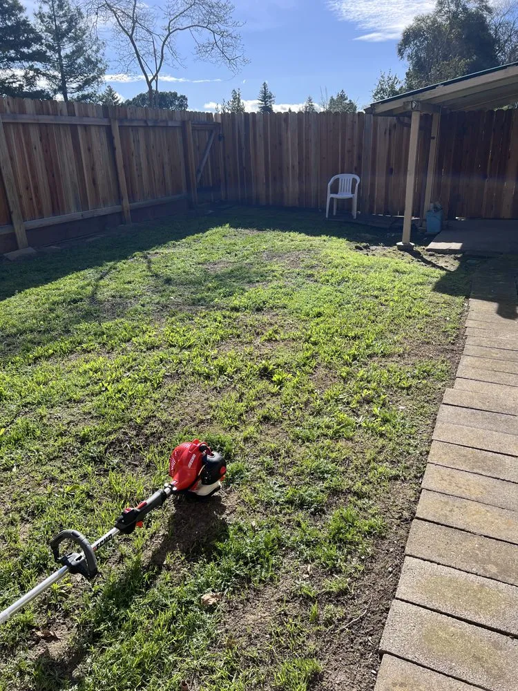 Expert residential landscaping in Davis, CA - Symple Yard and Lot Maintenance