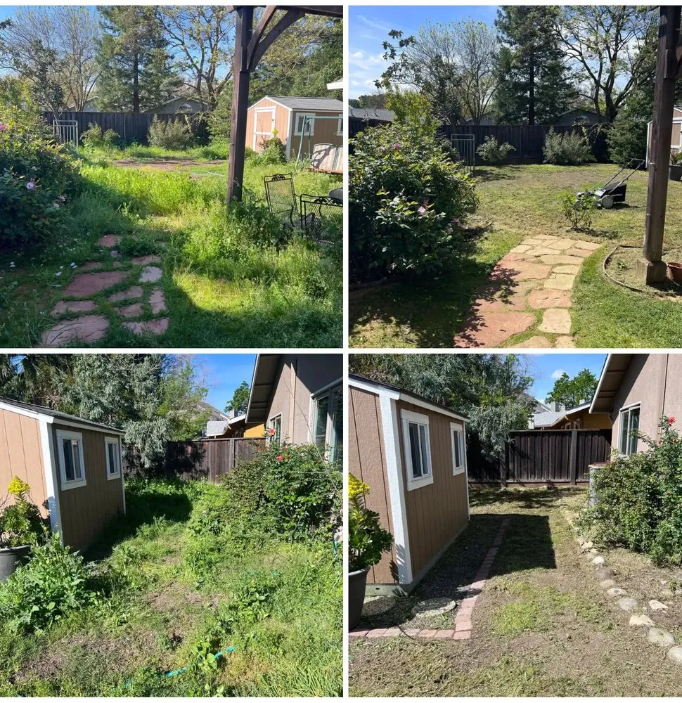 Expert yard cleanup service for homes in Davis, CA by Symple Yard and Lot Maintenance