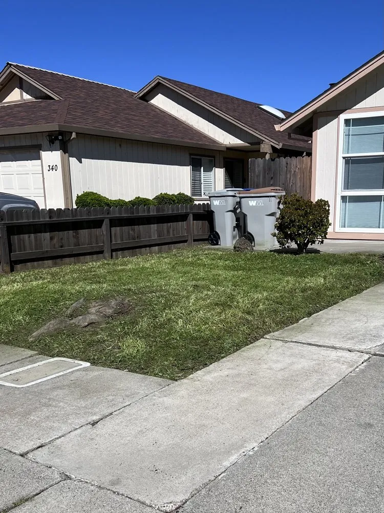 Professional lawn mowing service near you in Davis, CA by Symple Yard and Lot Maintenance