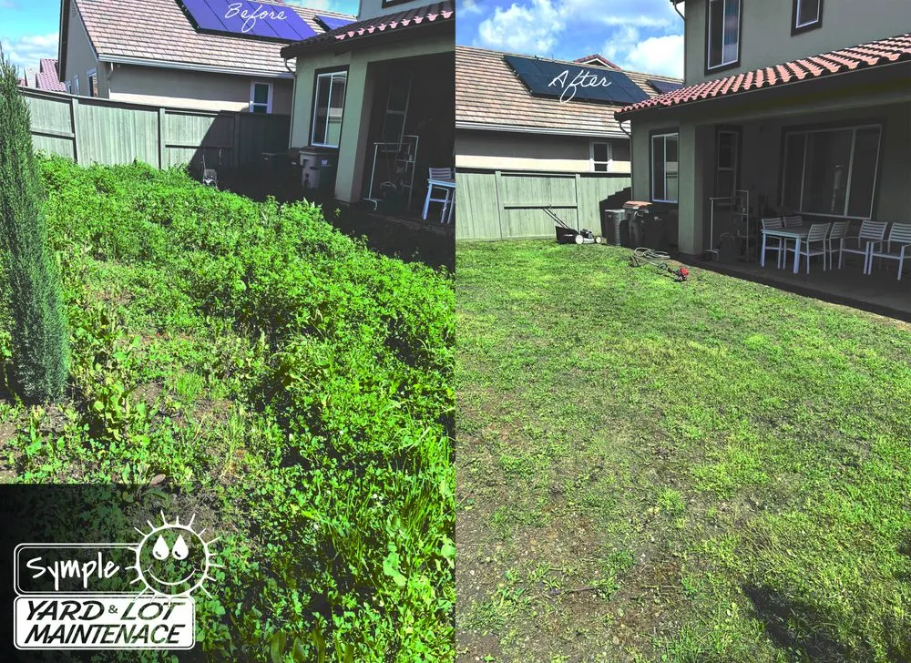 Professional garden landscaping in Davis, CA by Symple Yard and Lot Maintenance