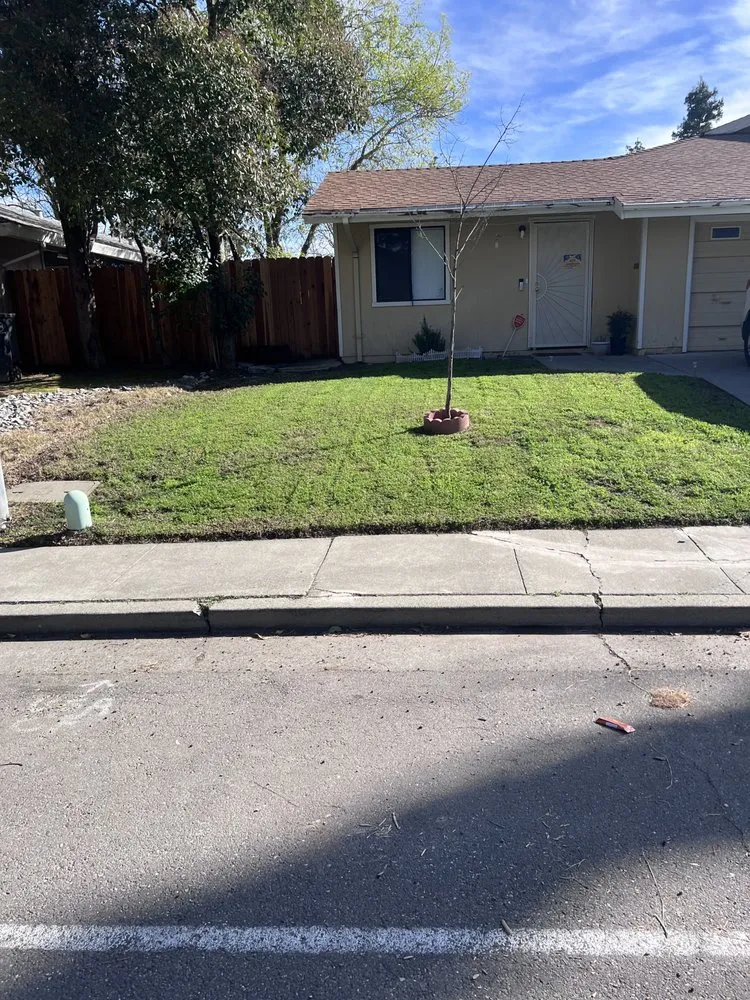 Reliable yard cleanup service experts serving Davis, CA - Symple Yard and Lot Maintenance