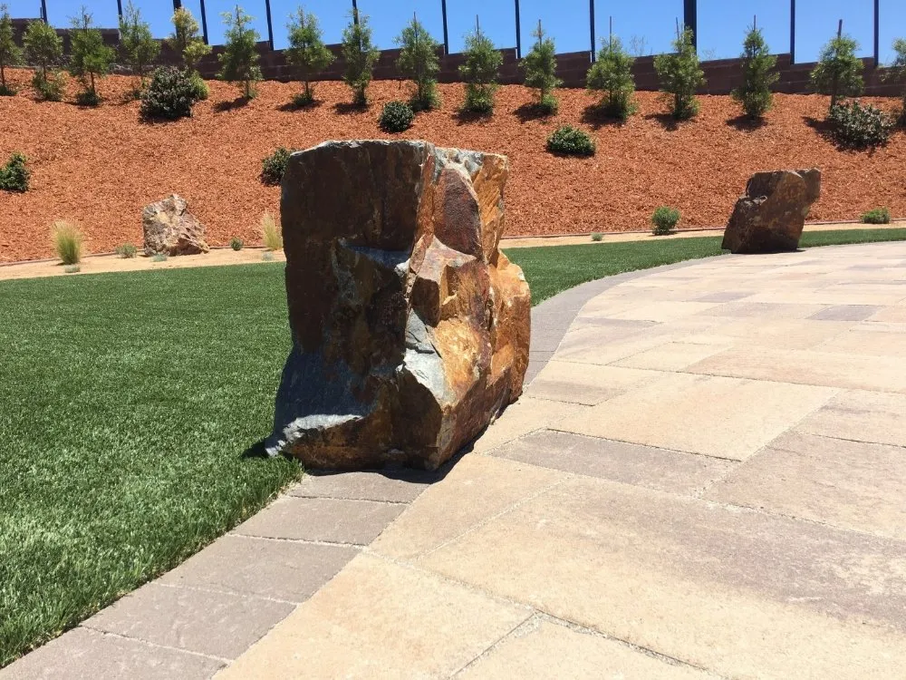 Reliable yard cleanup service in Fresno, CA - Syn Green