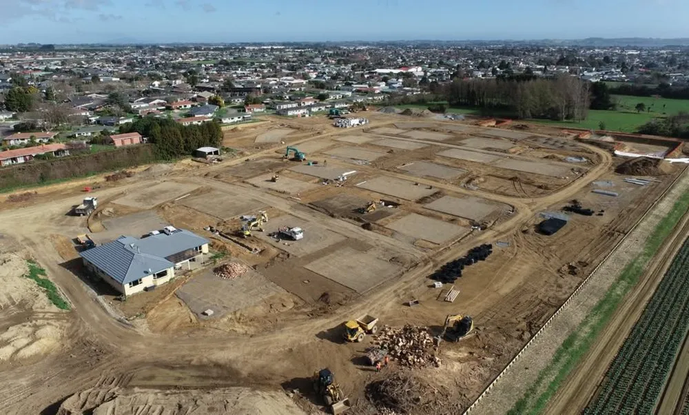 Top-rated yard cleanup service in Columbia, SC by Synergeigh Consulting