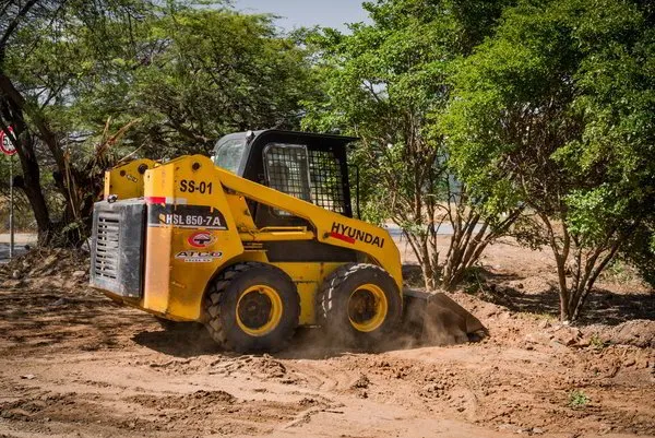 Professional yard maintenance in Columbia, SC by Synergeigh Consulting