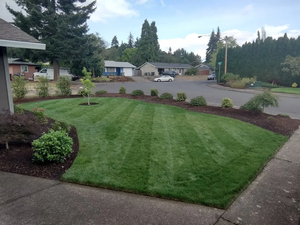 Professional landscape design for beautiful yards across Jefferson, OR - Synergy Landscape