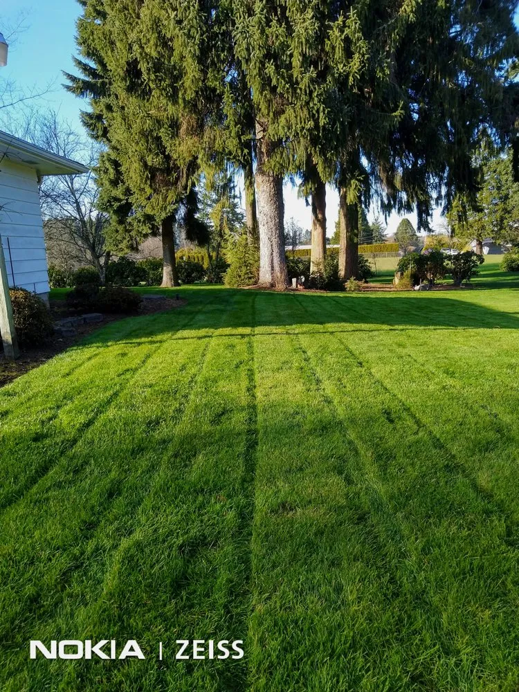 Trusted landscape design experts serving Jefferson, OR - Synergy Landscape
