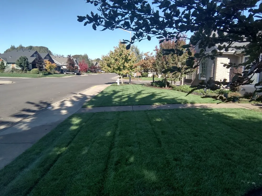 Local residential landscaping experts serving Jefferson, OR - Synergy Landscape