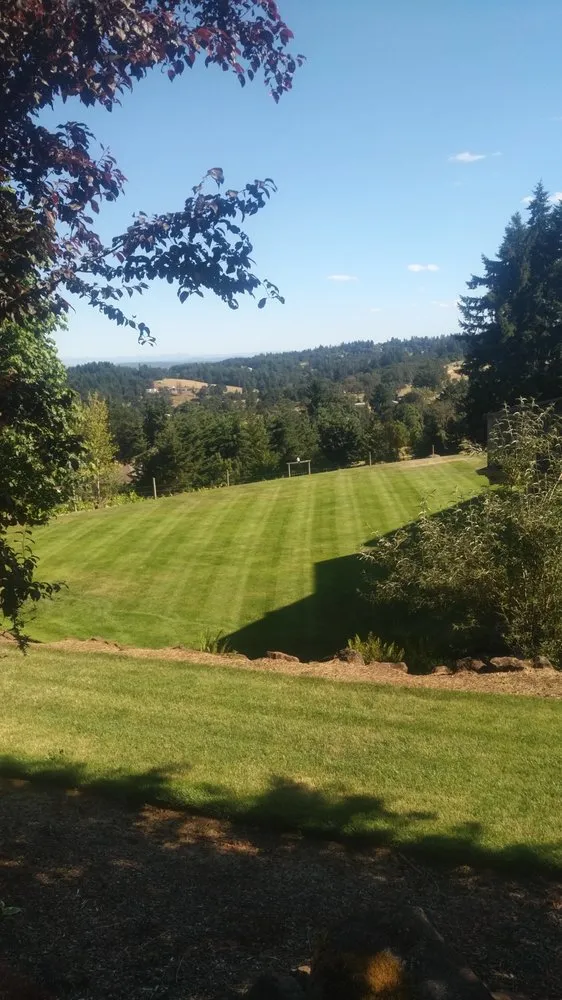 Custom yard maintenance in Jefferson, OR by Synergy Landscape