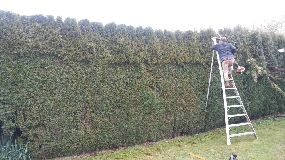 Custom landscape design with custom design across Jefferson, OR - Synergy Landscape