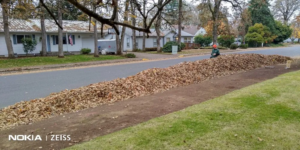Local lawn care service in Jefferson, OR by Synergy Landscape