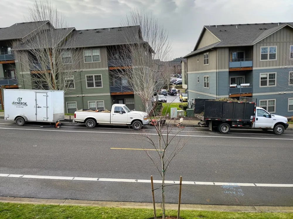 Expert landscaping services in Jefferson, OR - Synergy Landscape