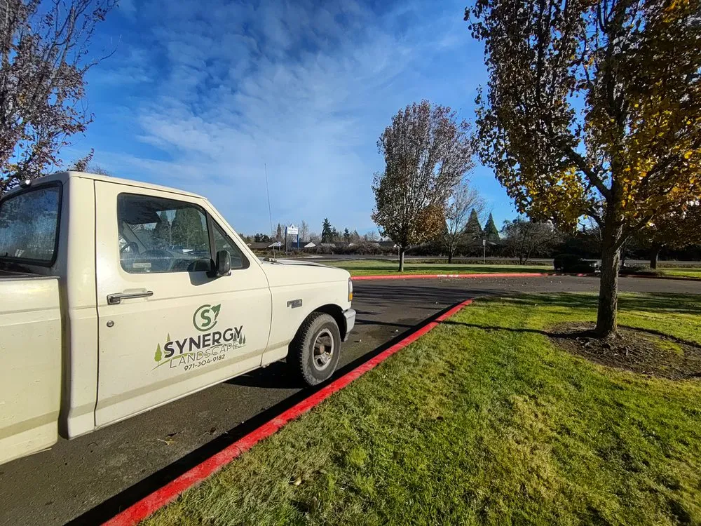 Top-rated yard maintenance for year-round maintenance across Jefferson, OR - Synergy Landscape