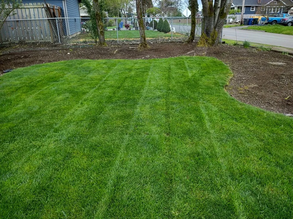 Professional outdoor landscaping in Jefferson, OR - Synergy Landscape
