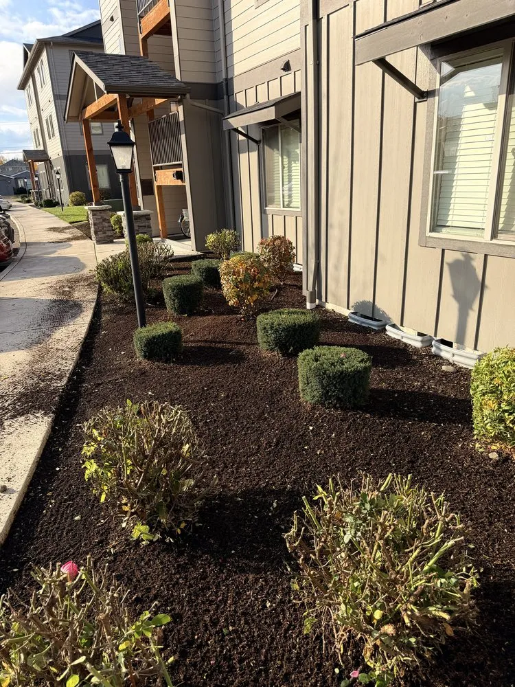 Reliable landscaping services for outdoor upgrades in Jefferson, OR by Synergy Landscape