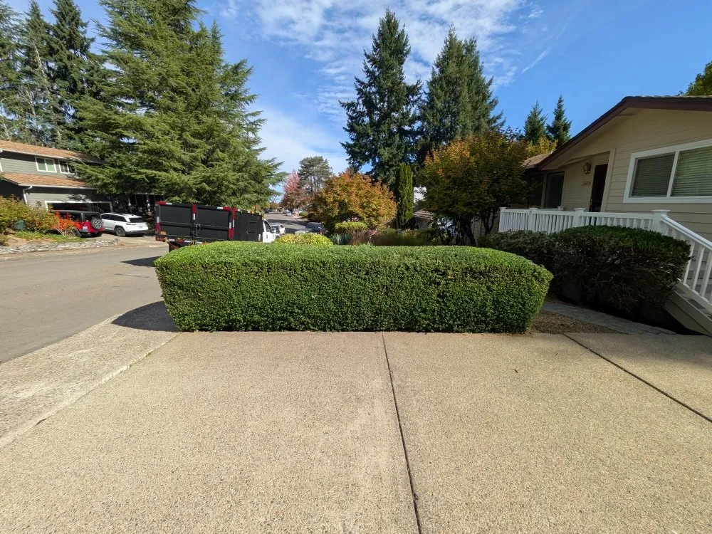 Expert residential landscaping experts serving Jefferson, OR - Synergy Landscape