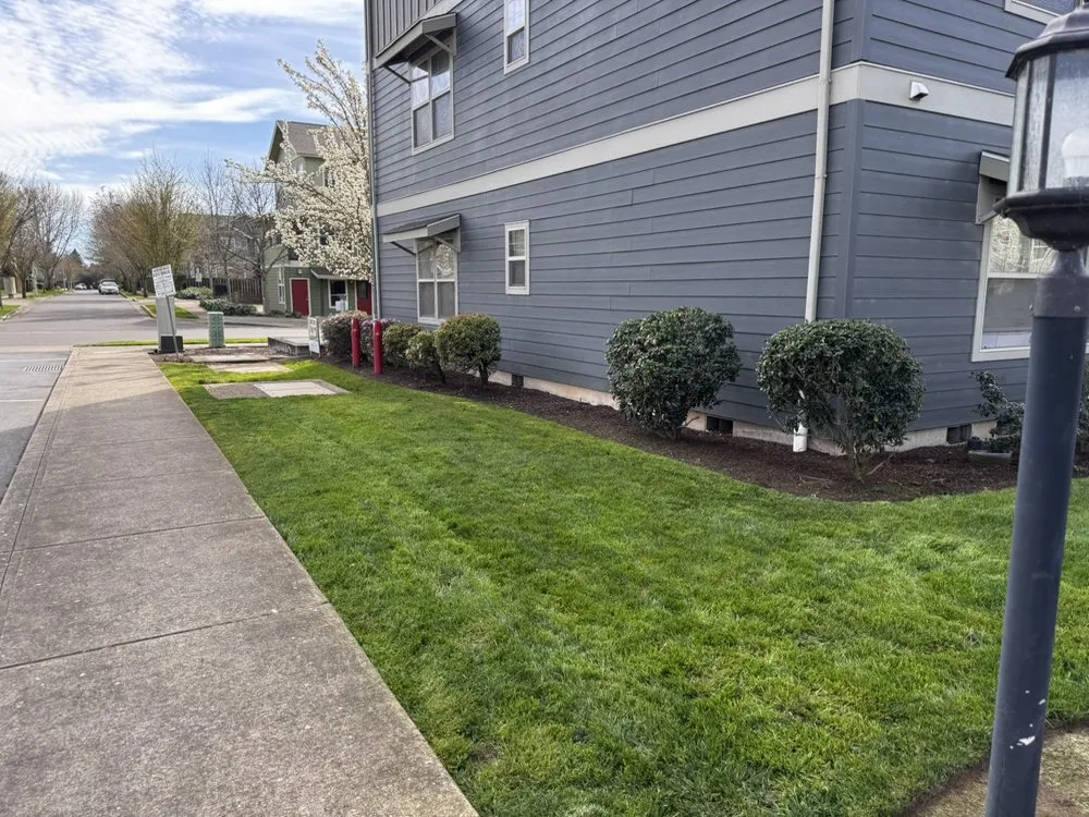 Professional lawn care service experts serving Jefferson, OR - Synergy Landscape
