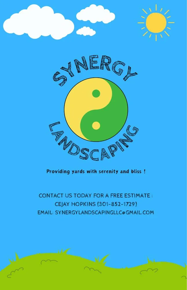 Affordable lawn care service in Riverdale Park, MD by Synergy Landscaping