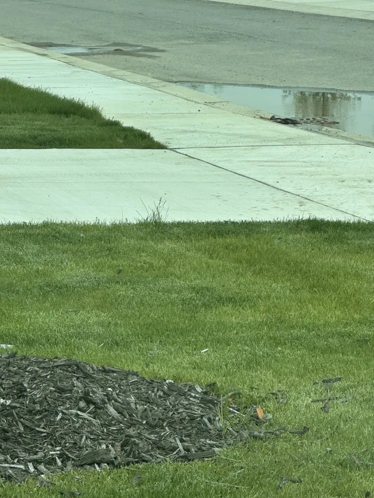 Custom landscape design in Fraser, MI by Synergy Lawnscape