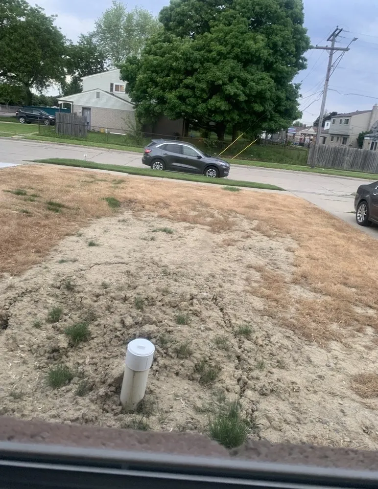 Local landscape design in Fraser, MI by Synergy Lawnscape