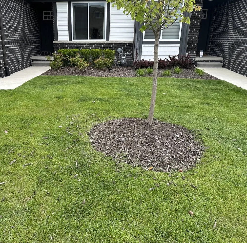 Affordable yard maintenance for beautiful yards across Fraser, MI - Synergy Lawnscape