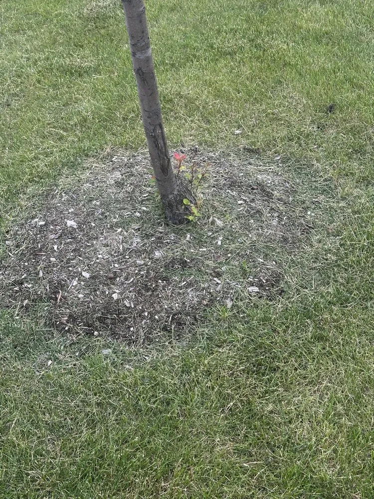 Top-rated garden landscaping with custom design in Fraser, MI by Synergy Lawnscape