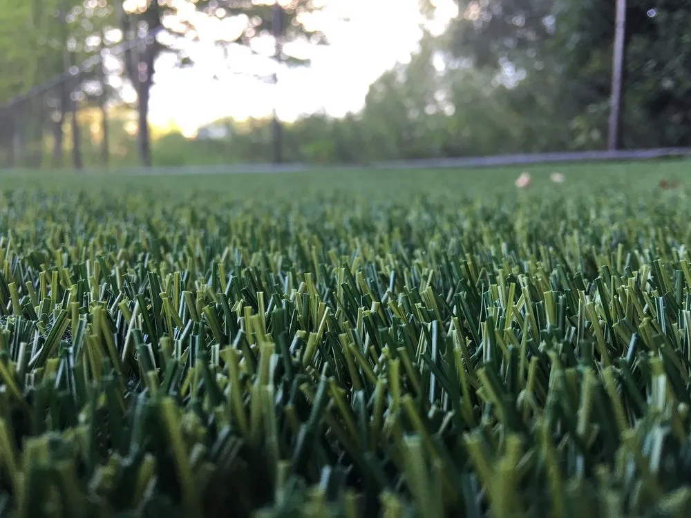 Professional outdoor landscaping near you in Birmingham, AL by SYNLawn Alabama