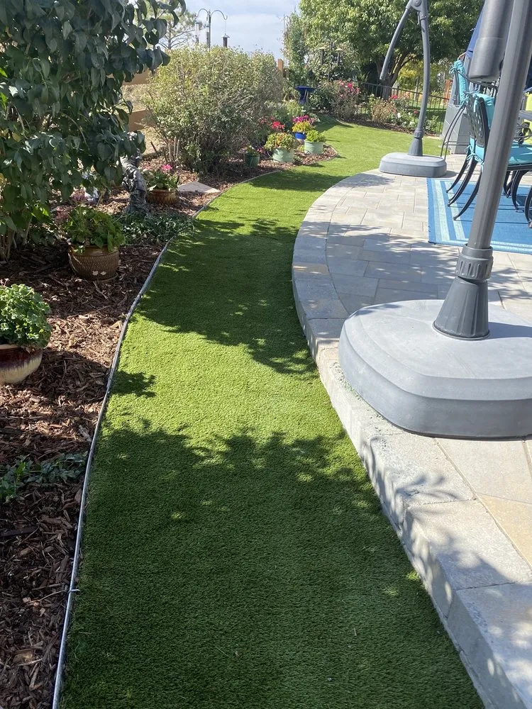 Professional yard cleanup service in Englewood, CO by SYNLawn Colorado