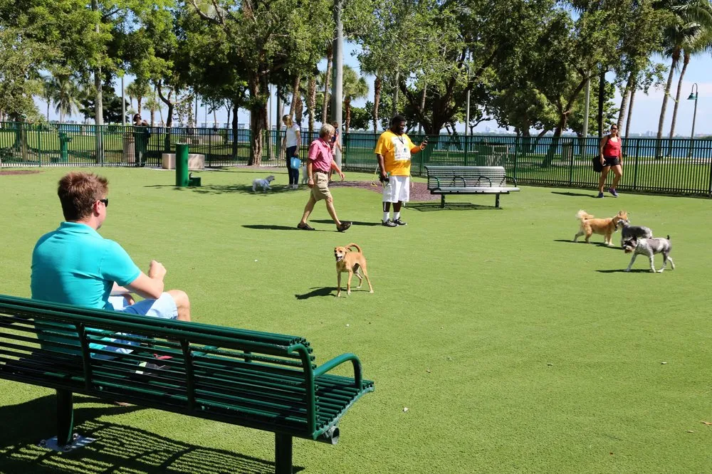 Expert yard cleanup service in Dalton, GA by SYNLawn