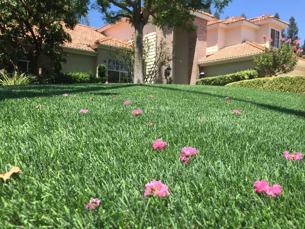 Top-rated outdoor landscaping experts serving Dalton, GA - SYNLawn