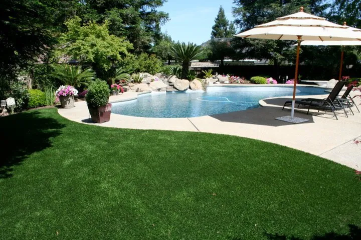 Professional yard cleanup service for beautiful yards in Dalton, GA by SYNLawn