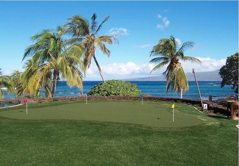 Trusted yard cleanup service for beautiful yards across Honolulu, HI - SYNLawn Hawaii