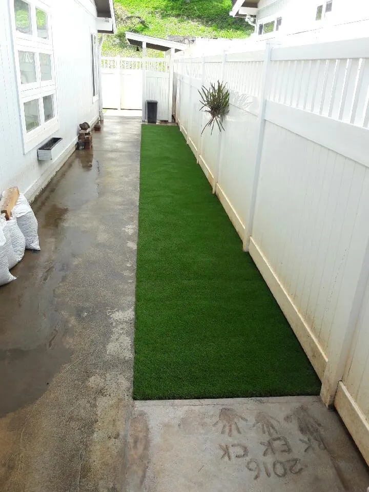 Professional landscaping services for year-round maintenance across Honolulu, HI - SYNLawn Hawaii