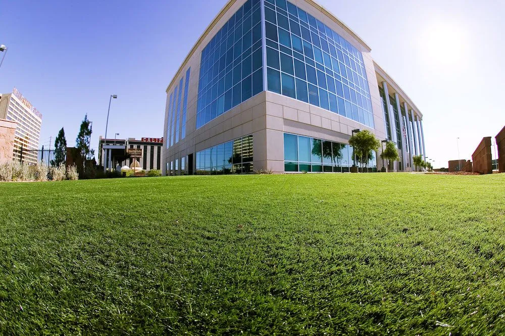 Professional yard maintenance near you in Catawba, NC by SYNLawn North Carolina