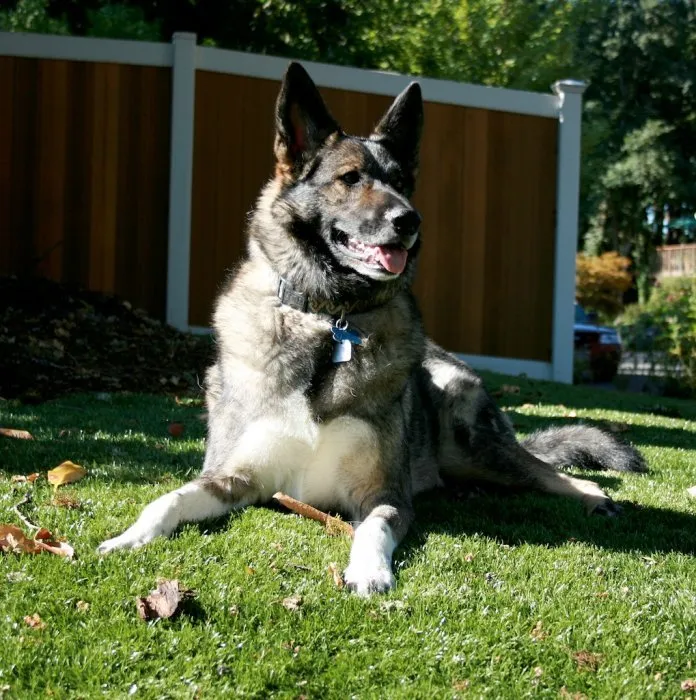 Expert residential landscaping for homes in Canton, OH by SYNLawn Northeast Ohio