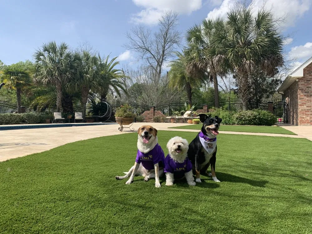 Expert landscaping services in St. Martinville, LA - SYNLawn South Louisiana
