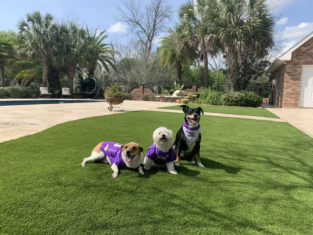 Professional landscaping services for beautiful yards across St. Martinville, LA - SYNLawn South Louisiana