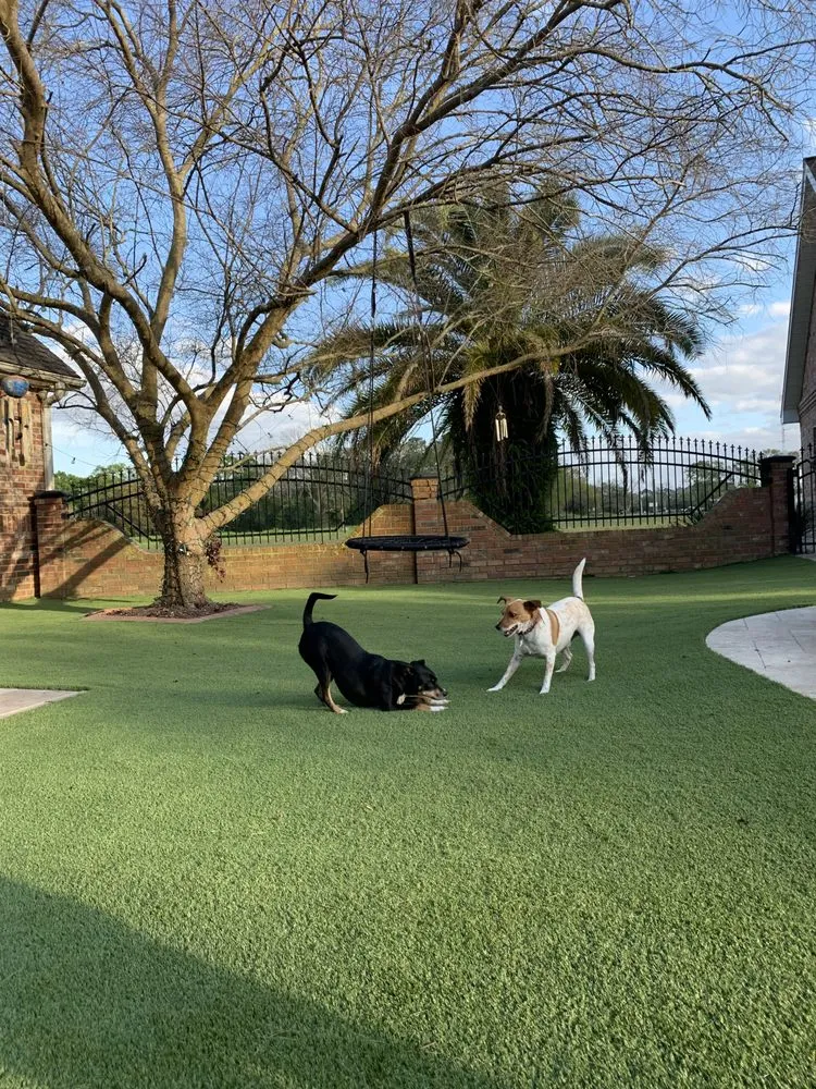 Professional outdoor landscaping for outdoor upgrades in St. Martinville, LA by SYNLawn South Louisiana