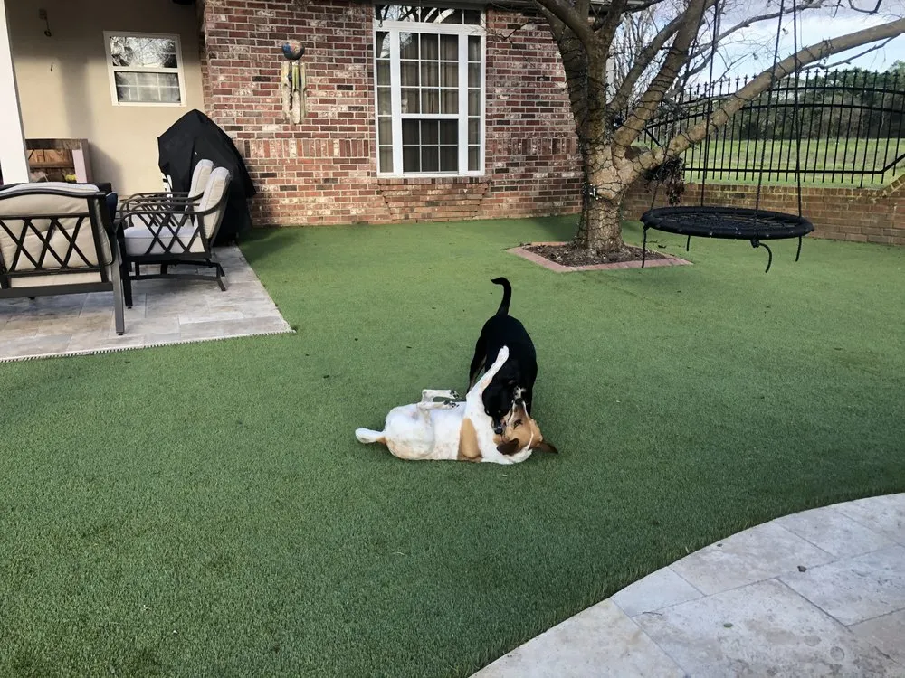 Local residential landscaping in St. Martinville, LA - SYNLawn South Louisiana