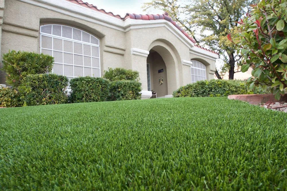 Expert residential landscaping in Stamford, CT by SYNLawn Southern Connecticut