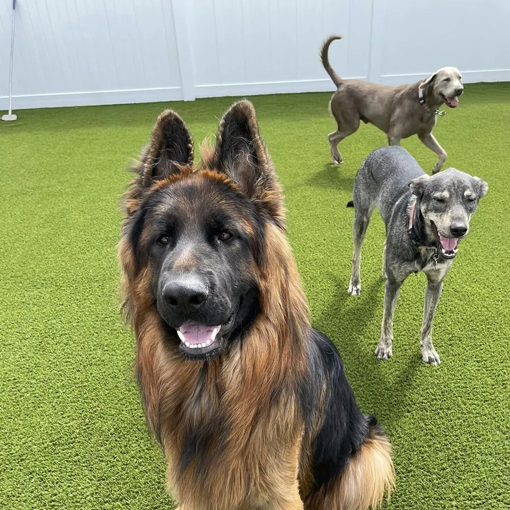 Custom landscape design for residential properties across Bradenton, FL - SYNLawn Tampa