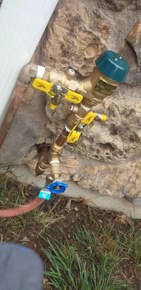 Professional landscaping services for beautiful yards across Denver, CO - Synsational Irrigation and Landscaping